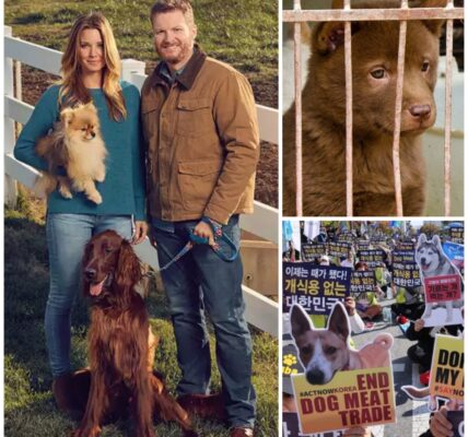 BREAKING: Dale Jr. Announces His Most Profound Mission Yet, Raising Millions of Dollars Every Yearâ Saving Thousands of Dogs Across Vietnam