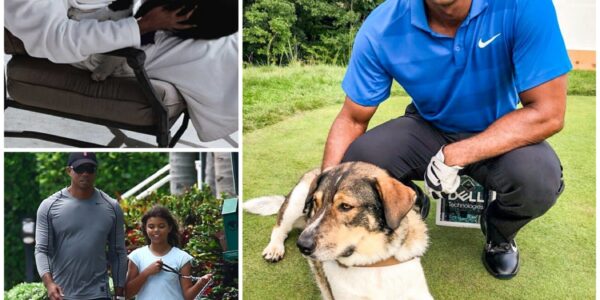 EXCLUSIVE: Tiger Woods breaks the internet with a shocking announcement: he will invest $10 million to build a "RESCUER" dedicated to rescuing stray and abandoned dogs, promising to give love and a home to thousands of abandoned puppies...