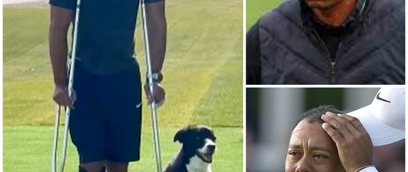 SHOCKING NEWS: Golf Icon Tiger Woods Says He Is Lucky To Be Alive After Horrific Plane Crash In ...