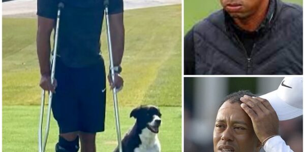 SHOCKING NEWS: Golf Icon Tiger Woods Says He Is Lucky To Be Alive After Horrific Plane Crash In ...