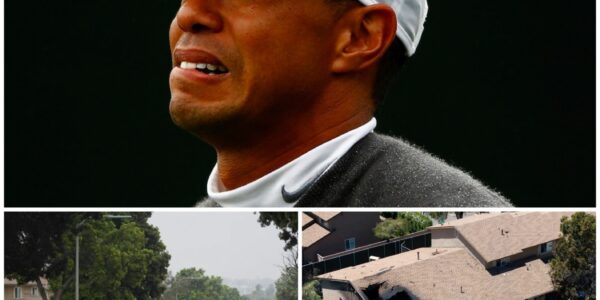SHOCKING SAD NEWS: A Few Minutes Ago Tiger Woods Made An Important Announcement About His Family Involved In A Plane Crash In San Diego, California... Fans Are Anxiously Waiting And Praying For His Family