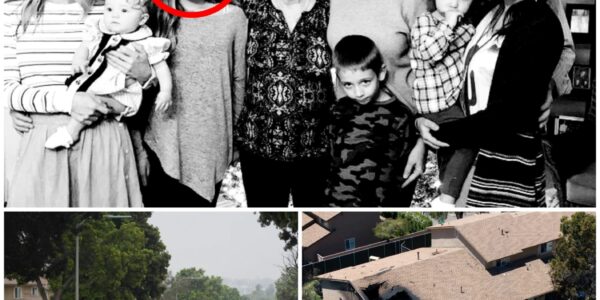 SHOCKING SAD NEWS: Minutes ago, Dale Earnhardt Jr. made an important announcement about his family involved in the plane crash in San Diego, California... Fans are anxiously waiting and praying for his family