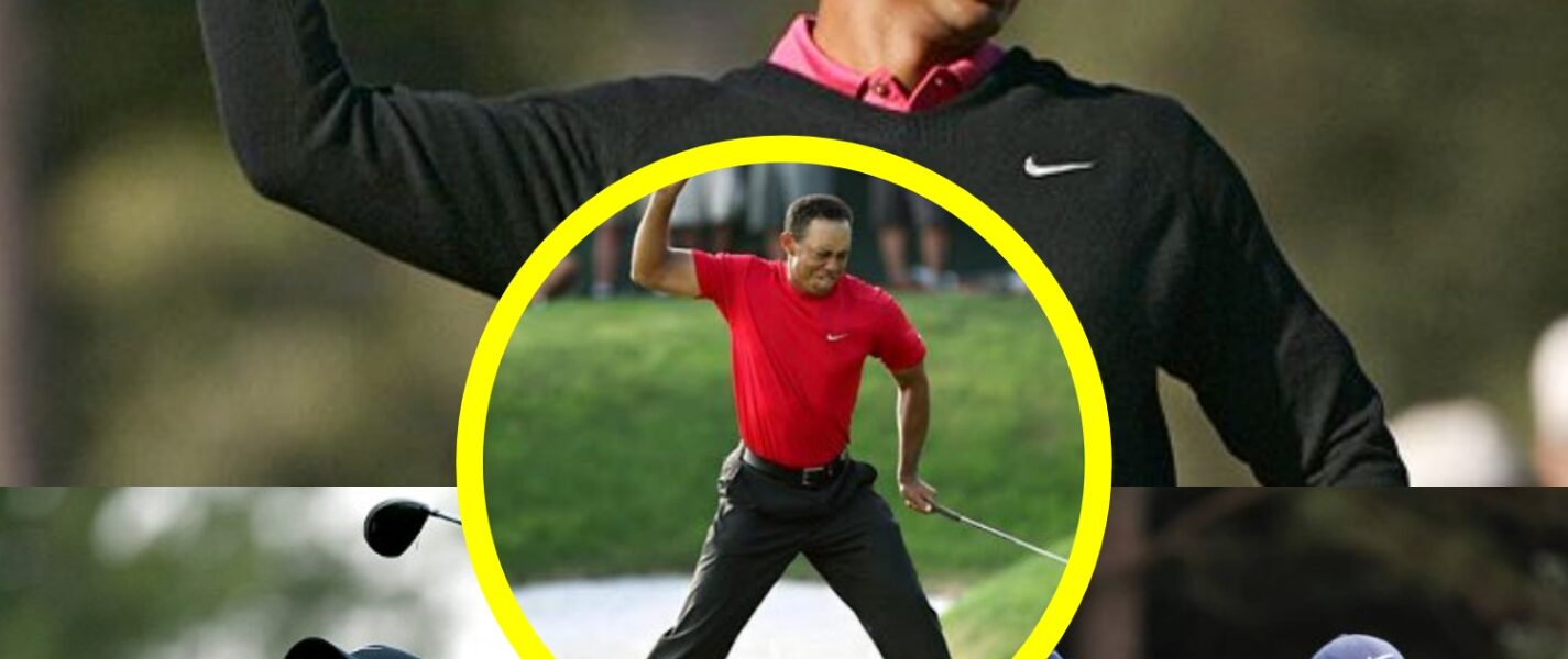 “I Never Gave Up — I Was Just Getting Started!” – Tiger Woods Rises From the Shadows With Rory McIlroy’s Powerful Rescue… A New Chapter Begins!