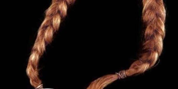 Willie Nelson Cuts His Iconic Hair for a Heartbreaking Reason—Fans in Tears After Learning the Truth